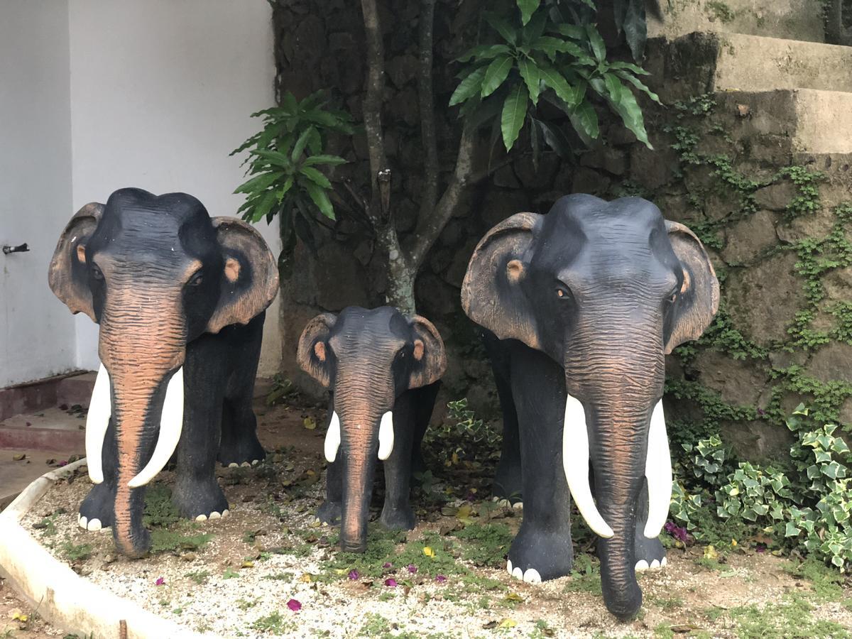 Ella Gate Resort Kumbalwela Luaran gambar