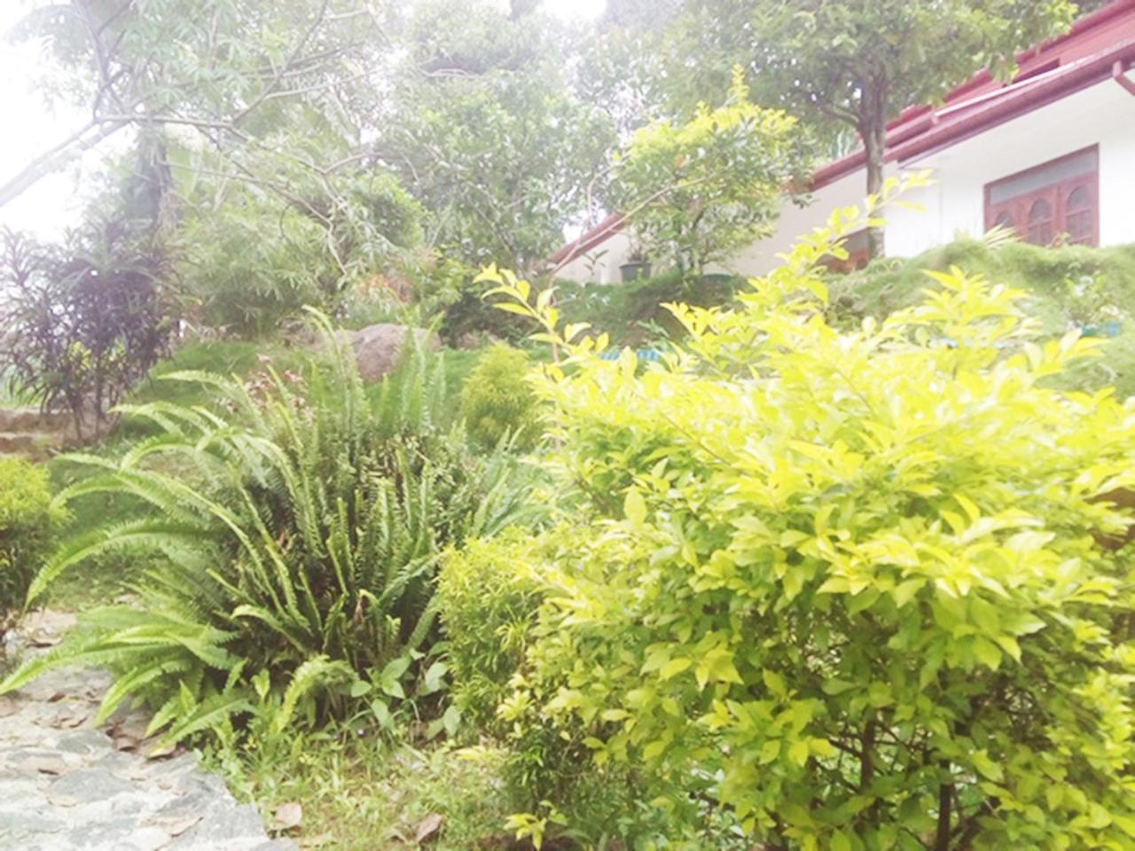 Ella Gate Resort Kumbalwela Luaran gambar